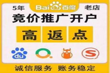行业领先企业的sem账户竞价运营策略